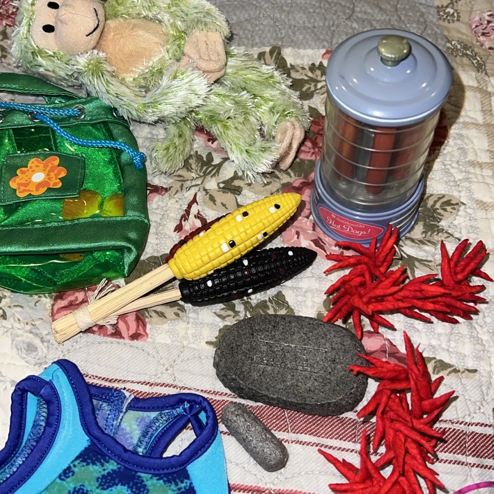 Lot RARE American Girl Doll Clothing & Accessories Set birthday cake camping ++ - Picture 3 of 8